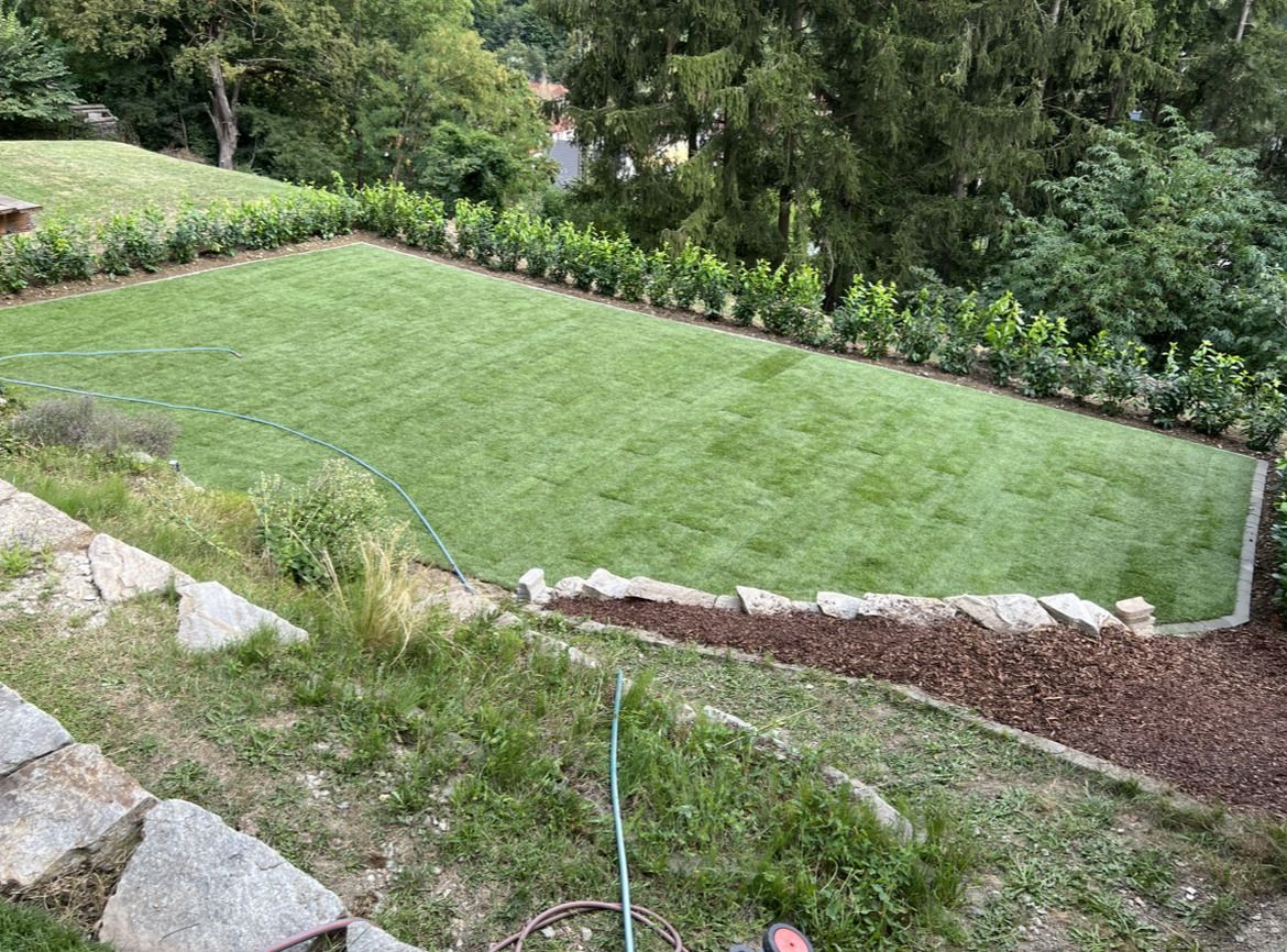 Rechteckiger, frisch gemähter Rasen mit Steinen und Pflanzen am Rand in einem Garten