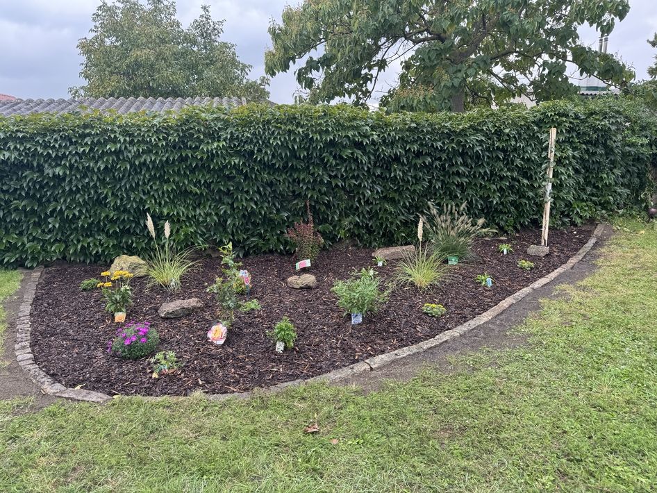 Beet mit verschiedenen Pflanzen und Steinen, umgeben von Rasen und Hecke im Hintergrund